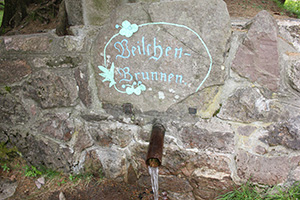 Veilchenbrunnen bei Oberhof